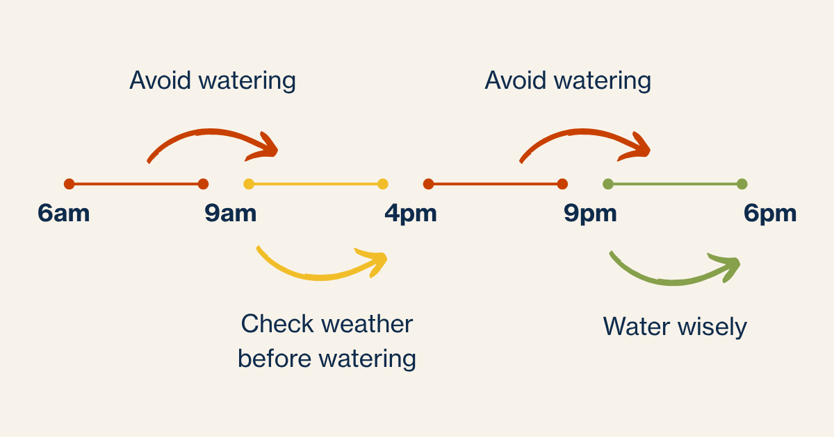 Water wise time